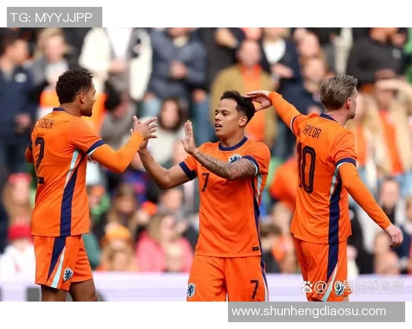 波黑与芬兰足球历史交锋回顾及战绩分析 波黑与芬兰足球历史交锋回顾及战绩分析