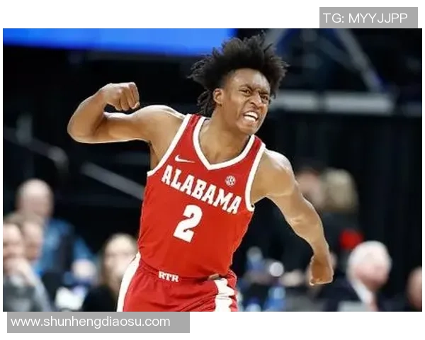 科林塞克斯顿：从新秀到明星球员的成长之路与挑战