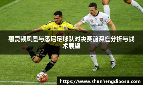 惠灵顿凤凰与悉尼足球队对决赛前深度分析与战术展望