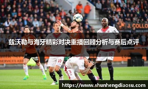 兹沃勒与海牙精彩对决重播回顾分析与赛后点评